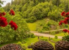 Schwarzwaldhaus Wolftal – Historisches Forsthaus