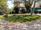 0041/ Lucano-1