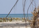 Fewo 29 Ostseestern