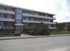 Küstenperle