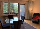 Schwarzwald Appartment Herrischried mit Balkon