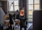 Ferienhaus Loft alte Schreinerei
