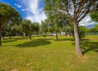 Camp Peskera Mobilehome Premium