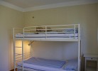 Inselblume 08 - Ferienwohnung mit Hund in Burg