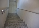 Inselblume 07 - Ferienwohnung mit Hund an der Reiterkoppel