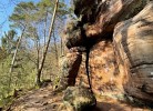 Ferienwohnung Milo Pfälzer Wald