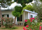 Feriendorf Stork Bungalow Bilo