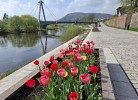FeWo kleine Auszeit Höxter
