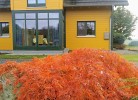 Das gelbe Landhaus