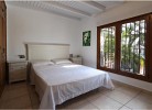 Casa Pyracantha