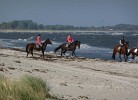 Rote Kate