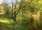 Ferienwohnung Am Stadtpark