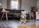 Ferienhaus S`bunde Heisle